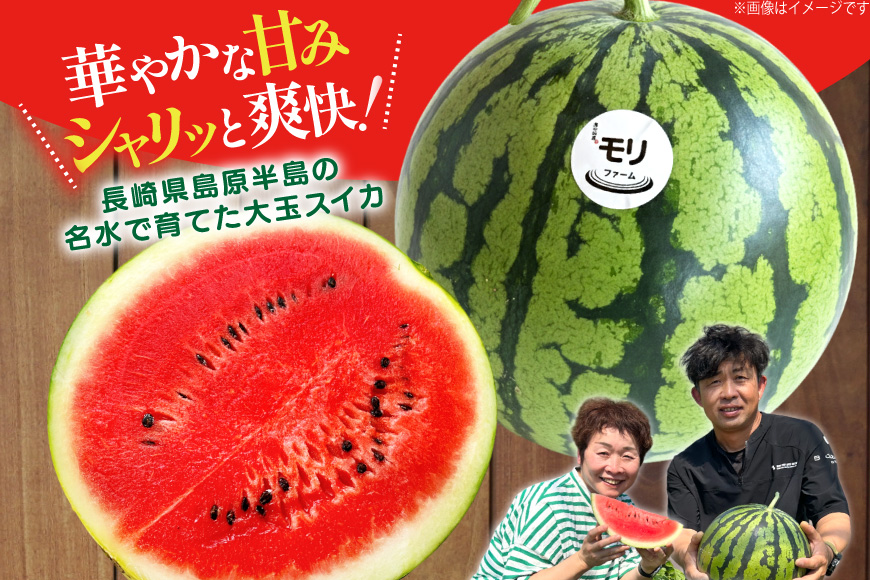 AJ456 【令和8年度出荷分】 湧水の里 モリファーム 大玉スイカ ラオウ まつりばやし 4L 10～13kg 1玉 [ 先行予約 数量限定 すいか スイカ 西瓜 フルーツ 果物 長崎 長崎県 島原市 ]
