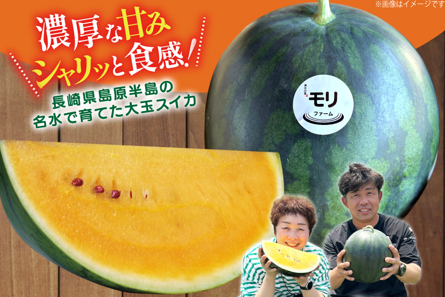 AJ458 【令和8年度出荷分】 湧水の里 モリファーム 大玉スイカ ムーンフラッシュ 3L 8～10kg 1玉 [ 先行予約 数量限定 すいか スイカ 西瓜 フルーツ 果物 長崎 長崎県 島原市 ]
