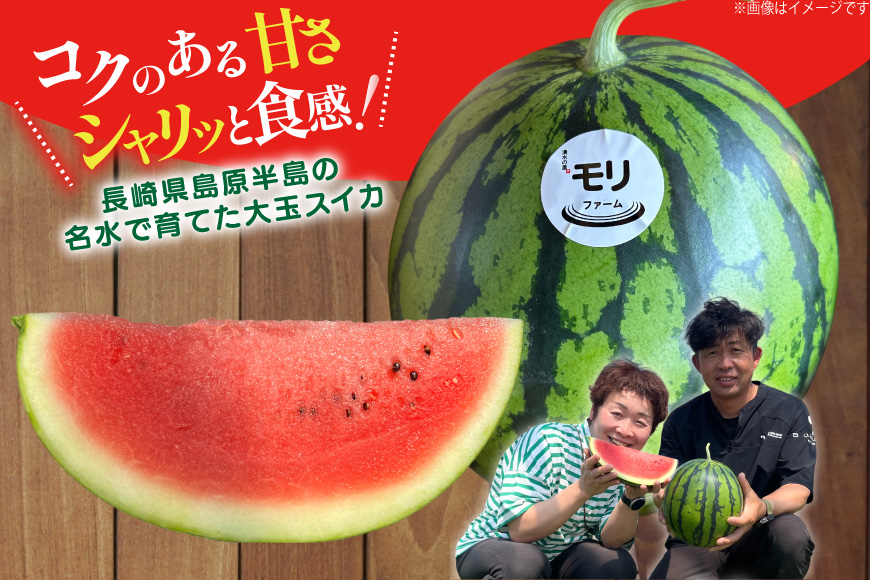 AJ459 【令和8年度出荷分】 湧水の里 モリファーム 中玉スイカ プチット M～L 5～7kg 1玉 [ 先行予約 数量限定 中玉 スイカ 西瓜 フルーツ 果物 長崎 長崎県 島原市 ]