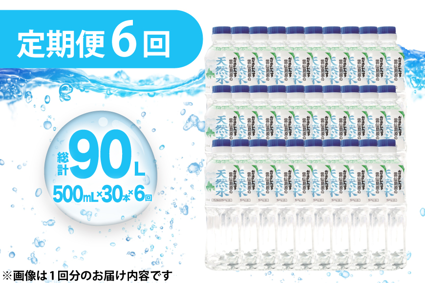 AJ616 山崎本店酒造場 【6回定期便】 雲仙島原の天然水 500mL 30本 計15L [ 水 ペットボトル 天然水 おいしい 備蓄 日用品 大容量 定期便 定期 名水百選 軟水 長崎県 島原市 ]