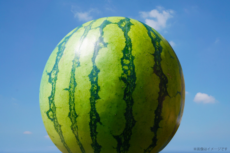 AJ643 【令和8年度出荷分】 島原スイカ倶楽部 大玉スイカ 羅皇ザ・スウィート 3Lサイズ 8～10kg [ 先行予約 数量限定 すいか スイカ 西瓜 フルーツ 果物 長崎 長崎県 島原市 ]