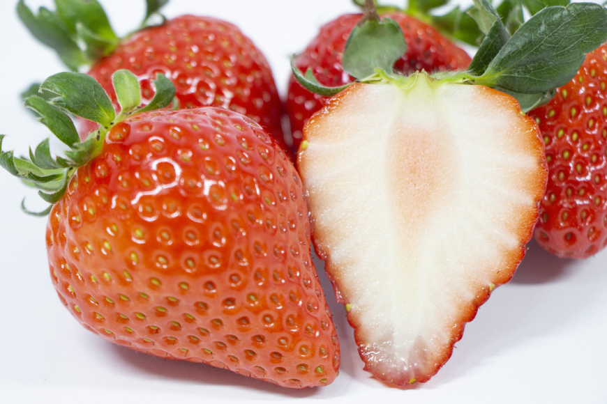 AJ648 長崎県知事賞受賞【厳選いちご】「恋みのり (2L～3L)」260g×4パック＜12月お届け＞ [ 苺 イチゴ こいみのり カンベリー KanBerry 菅園芸 長崎県 島原市 ]