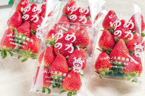 ※廃番※CE178 長崎県知事賞受賞【厳選いちご】「ゆめのか（2L～3L）」260g×4パック＜1～4月にお届け＞
