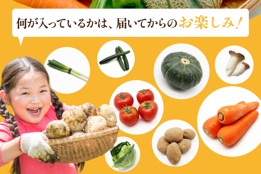 BF057 【3回定期便】旬の野菜・フルーツ (12〜14品目)・卵 (6個) おまかせ セット【 野菜 果物 卵 やさい くだもの 果物 タマゴ たまご 詰め合わせ 江戸屋 長崎県 島原市 】