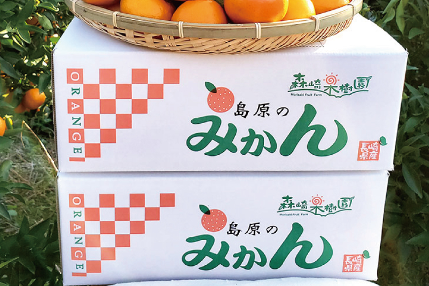 CC003 森崎果樹園のこだわり旬のみかんセット 10kg [みかん ミカン 旬 10キロ 長崎県 島原市]