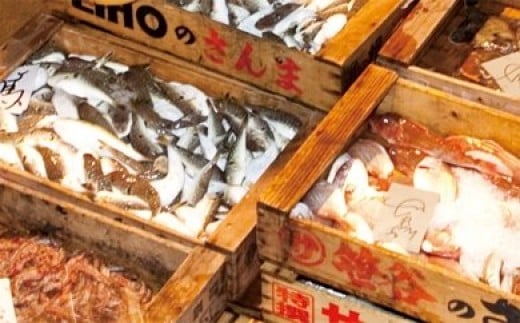 AA036プリッと身が引き締まった　島原の海の幸セット