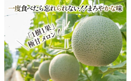 【期間限定発送】AB053その道一筋の生産者がじっくり丁寧に育てた　マスクメロン特選大玉桐箱