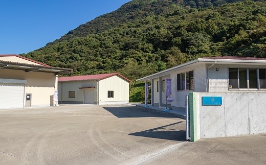 AD127【補充用・定期配送全6回】島原の天然シリカ水素水18L（6L×3パック）×6回