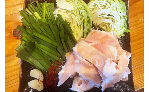 AE248お手軽もつ鍋セット（3～4人前）