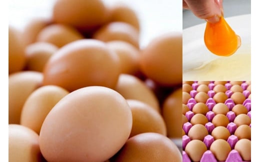 AE289【定期便】島原のたまご 黄味子Ａセット 計3回お届け