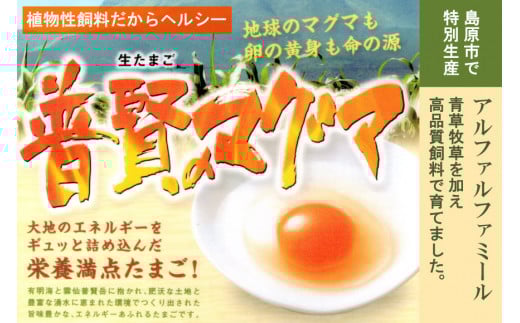 AE308茶碗蒸しセット（伊勢海老・河豚・ズワイ蟹・具沢山）8個分