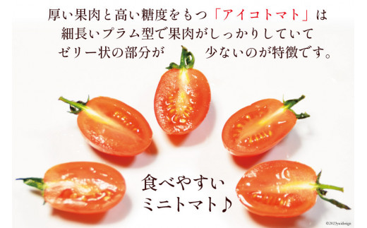AF014 全国にファンがいる高級フルーツトマト アイコ たっぷり！1kg [トマト フルーツトマト 1キロ 山口農園 長崎県 島原市]