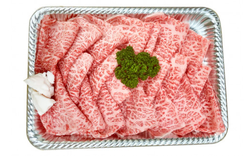 AF199【数量限定・A4ランク以上】 長崎和牛 特選モモ 500g