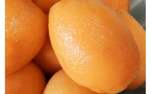 AF220【令和8年度出荷分】果汁たっぷり！川田さん家の温室栽培びわ 500g [びわ ビワ フルーツ 果物 長崎県 島原市]