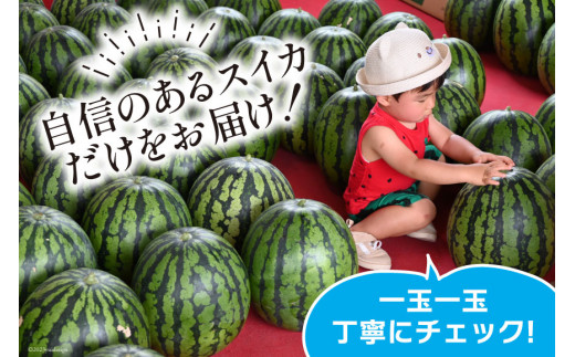 AG060【令和8年度出荷分】超特大！大玉スイカ～羅皇（ラオウ）～（10～15kg）[先行予約 数量限定 すいか スイカ 西瓜 フルーツ 果物 長崎 長崎県 島原市]