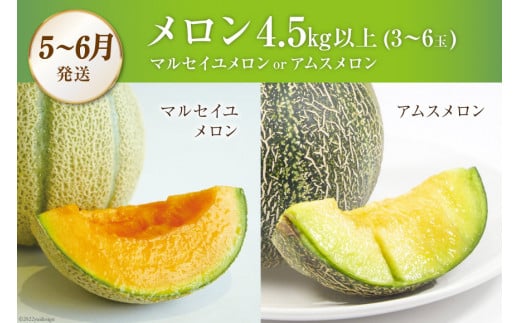 AG131【令和8年度出荷分】 全2回 厳選！夏の人気フルーツ定期便