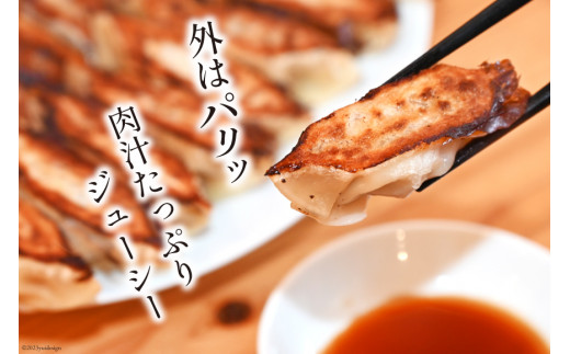 【AH019】 焼くだけ！一か月に1500個売り上げる餃子 45個（15個×3パック）