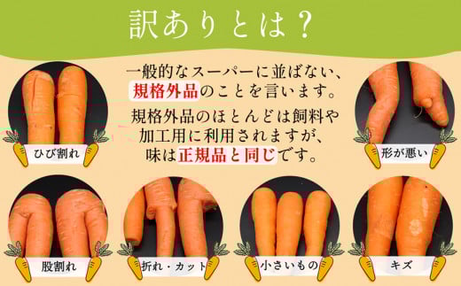 【AH051】【訳あり】堀農園のこだわり人参 約5kg