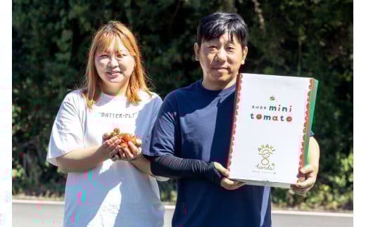 AH068【小分けでうれしい♪】アイコトマト4.8kg（200g×24袋）