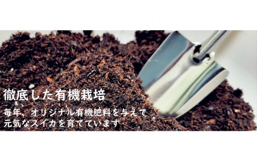 AH094 ハウス栽培 長崎小玉スイカ ひとりじめ 2玉 4kg以上【 果物 くだもの フルーツ スイカ すいか 西瓜 数量限定 長崎県産 長崎県 島原市 】