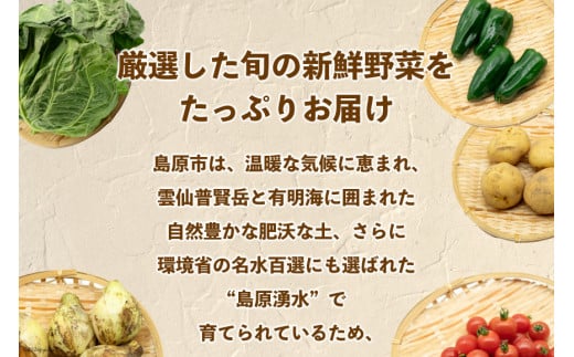 AI022【10～5月限定出荷】こむたの旬の野菜つめあわせ(8～10品目)おまかせ M セット 【 野菜 やさい 旬 種類 人気 オススメ 新鮮 詰め合わせ こむた 小無田 青果 長崎県 島原市 】