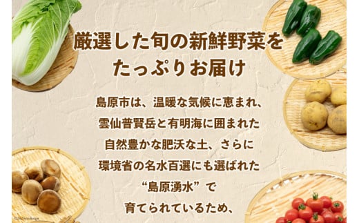 AI023【10～5月限定出荷】こむたの旬の野菜つめあわせ(13～15品目)おまかせ L セット 【 野菜 やさい 旬 種類 人気 オススメ 新鮮 詰め合わせ こむた 小無田 青果 長崎県 島原市 】