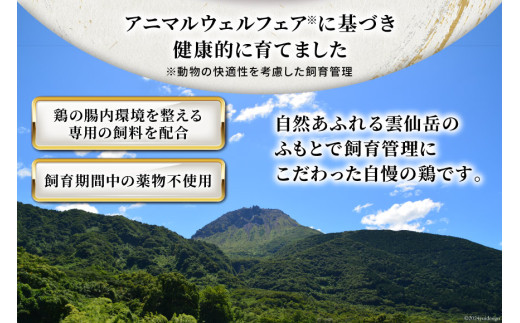 AI084 鶏肉 雲仙しまばら鶏 むね肉 300g 10袋 計3kg [ 小分け 鶏むね肉 若鶏 とりむね肉 とりむね 肉 チキン 真空パック 大光食品 長崎県 島原市 ]