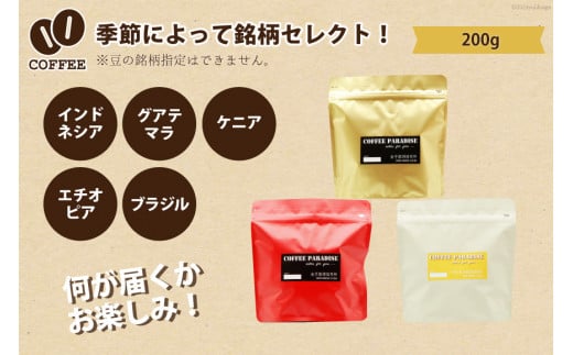 AI088自家焙煎 スペシャルティ珈琲豆 200g × 1袋 [ コーヒー豆 コーヒー 珈琲 Coffee 金子珈琲焙煎所 長崎県 島原市 ]