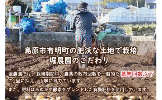 AI118 じゃがいも ＆ 人参 セット ( ながさき黄金＆冬人参 ) 約 5kg [ 野菜 野菜セット 詰め合わせ ジャガイモ にんじん ニンジン 5kg 5キロ 黄金 贅沢宝庫 長崎県 島原市 ]