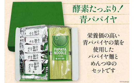 AI131 パパイヤ麺 5食 セット めんつゆ付 [ 麺 乾麺 手延べ麺 素麺 手延べそうめん 冷麺 にゅうめん にゅう麺 無農薬 青パパイヤ ヌードル コウセイプランニング 長崎県 島原市 ]