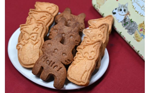 【2026年2月より順次発送】 AI193 クッキー 9枚 1缶 [ クッキー缶 ねこ 猫 チョコ 焼き菓子 かわいい バレンタイン 贈り物 スイーツ 菓子 ギフト パティスリーシャトン 長崎県 島原市 ]
