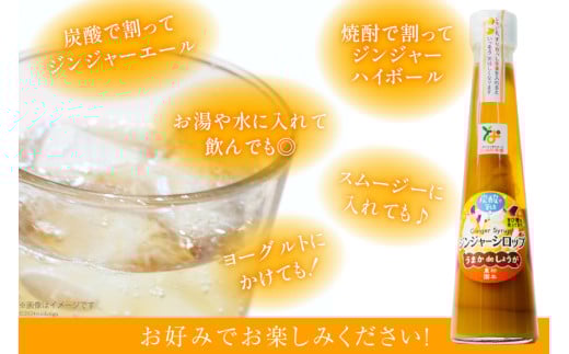 AI200 ジンジャー シロップ 250g 1本 [ 生姜 しょうが ショウガ ジンジャーエール ジンジャーハイボール 松本農園 人作 長崎県 島原市 ]