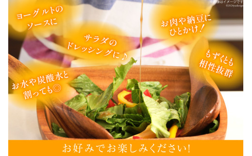 BI203 酢しょうが 230g ジンジャーシロップ 250g 計2本 480g [ 生姜 しょうが ショウガ ジンジャーエール シロップ セット 調味料 酢 松本農園 人作 長崎県 島原市 ]