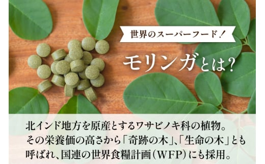 AI376 MORINGA2000 60g 1袋 [ モリンガ ワサビノキ スーパーフード タブレット サプリメント サプリ 国産 出田農円 長崎県 島原市 ]