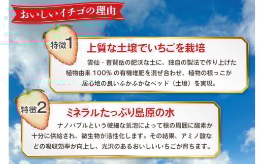 AI377 【2025年12月発送開始】いちご ほおばるベリー 約 1kg 250g 4パック [ 苺 イチゴ 1キロ 甘い おいしい あまい フルーツ 果物 出田農円 長崎県 島原市]
