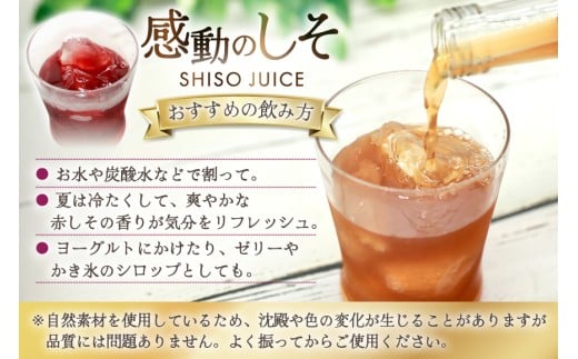 AJ306 感動の赤しそジュース パウチ 200ml 2P 感動の青しそジュース パウチ 200ml 2P [ しそジュース 紫蘇ジュース 赤しそ 青しそ 長崎県 島原市 ]