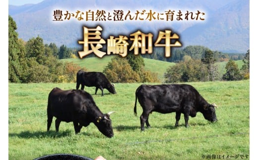 AJ465 長崎和牛 ロースステーキ バラ 焼肉 セット 500g [ 牛肉 肉 和牛 お肉 焼肉 焼き肉 ロース バラ肉 ステーキ トライアルストアーズ 長崎県 島原市 ]