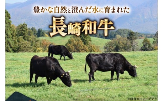 AJ467 長崎和牛 ローススライス 330g 2パック 計660g [ 牛肉 肉 和牛 お肉 すき焼き しゃぶしゃぶ 小分け トライアルストアーズ 長崎県 島原市 ]