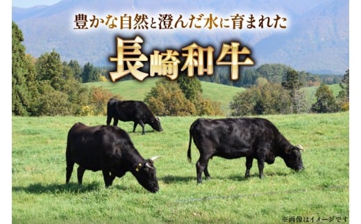 AJ469 長崎和牛 切り落とし 350g 2パック 計700g [ 牛肉 肉 和牛 お肉 バラ肉 小分け トライアルストアーズ 長崎県 島原市 ]