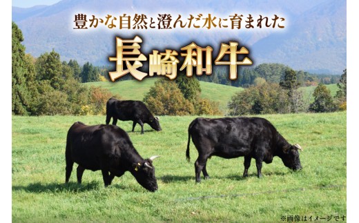 AJ470 長崎和牛 切り落とし 350g 3パック 計1050g [ 牛肉 肉 和牛 お肉 バラ肉 小分け トライアルストアーズ 長崎県 島原市 ]