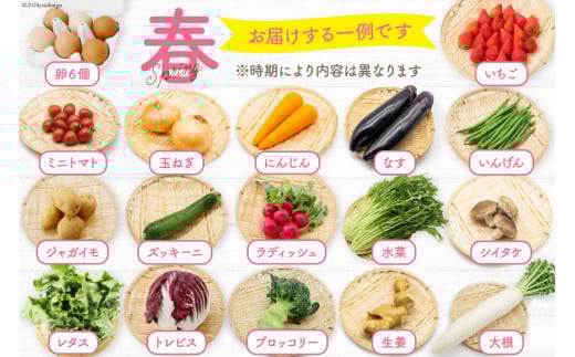 BA025 野菜・フルーツ・卵 旬のおまかせセット （野菜･フルーツ13～16品目、卵6玉）[ 野菜セット 野菜 フルーツ 果物 たまご 鶏卵 産地直送 厳選 長崎県 島原市 送料無料]