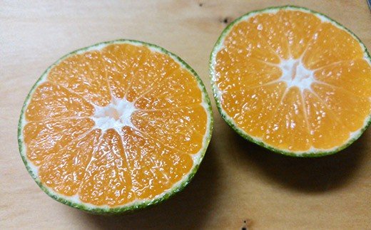 ※廃番※BD001 限定！森崎果樹園の露地もの青みかん（12kg）[みかん ミカン オレンジ 果物 くだもの フルーツ 酸味 露地もの 青もの 長崎県 島原市]