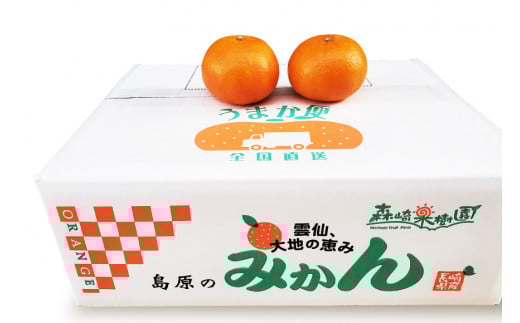 BD021 森崎果樹園自慢の『麗紅（れいこう）』5kg [みかん ミカン れいこう 麗紅 5キロ 果物 森崎果樹園 長崎県 島原市]