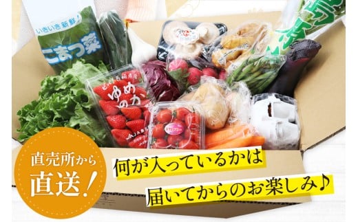 BD038 【12回定期便】 野菜・フルーツ・卵 旬のおまかせセット （野菜･フルーツ13～16種、卵6玉） [ 野菜セット 野菜 フルーツ 果物 たまご 鶏卵 産地直送 厳選 長崎県 島原市 送料無料]