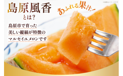 BD201【令和8年度出荷分】マルセイユメロン～島原風香～（3L×2玉） [農事組合法人　『舞岳の里』生産組合 長崎県 島原市 BD201] メロン 赤肉 果物 くだもの フルーツ 産地直送