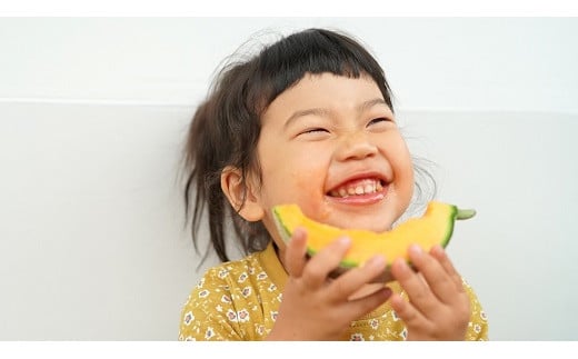 BD203【令和8年度出荷分】マルセイユメロン～島原風香～（2L×4玉） [農事組合法人　『舞岳の里』生産組合 長崎県 島原市 BD203] メロン 赤肉 果物 くだもの フルーツ 産地直送