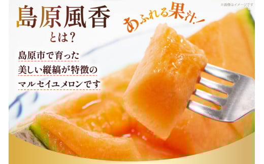 BE160【令和8年度出荷分】マルセイユメロン～島原風香～（LA×5玉） [農事組合法人　『舞岳の里』生産組合 長崎県 島原市 BE160] メロン 赤肉 果物 くだもの フルーツ 産地直送