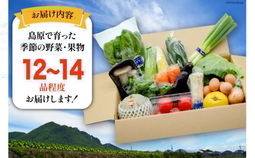 BE236 旬の野菜・フルーツ (12〜14品目)・卵 (6個) おまかせ セット【 野菜 果物 卵 やさい くだもの 果物 タマゴ たまご 詰め合わせ フードショップ江戸屋 長崎県 島原市 】