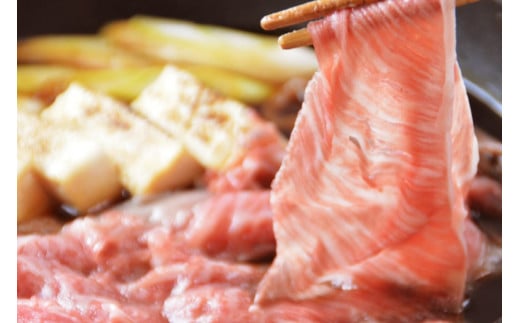 BF010【定期便】長崎和牛・島原産牛の食べ比べ　6回コース