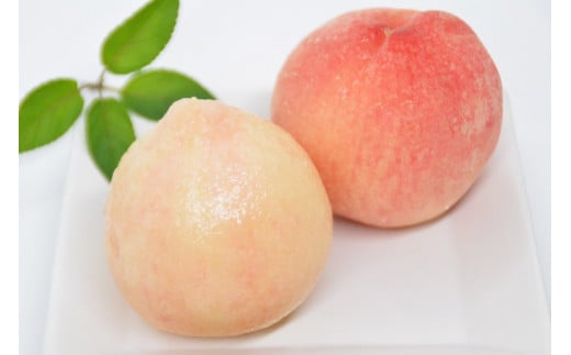 BF017【令和6年度出荷分】 ＜ 数量限定 ＞ 果汁あふれる！川田さん家の 桃 1kg